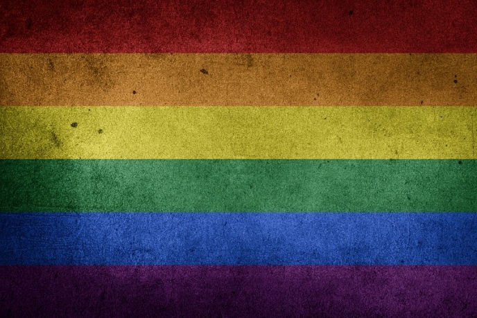 Отношението към гей общността в България - sans changement