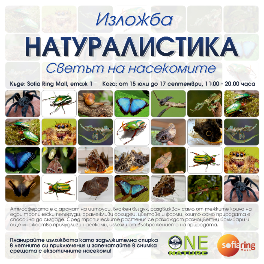 Изложба Натуралистика - Светът на насекомите