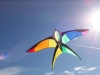 Празник на хвърчилата в Габрово