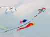 Тазгодишният фестивал на хвърчилата във Варна ще бъде посветен на опазването на мигриращите птици и техните местообитания
