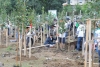 300 дървета бяха засадени в първата гора на „Моят зелен град “