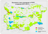 Половината от вековните гори на България са под заплаха от изсичане
