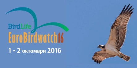 Европейски дни на птиците 2016: Вдигни поглед към милионите мигриращи птици
