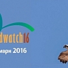 Европейски дни на птиците 2016: Вдигни поглед към милионите мигриращи птици