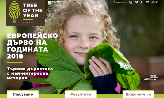 Гласувайте в конкурса за Европейско дърво на годината