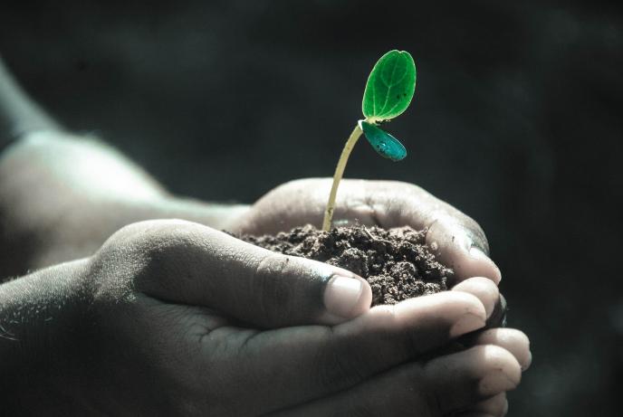 5 декември - Световен ден на почвата
