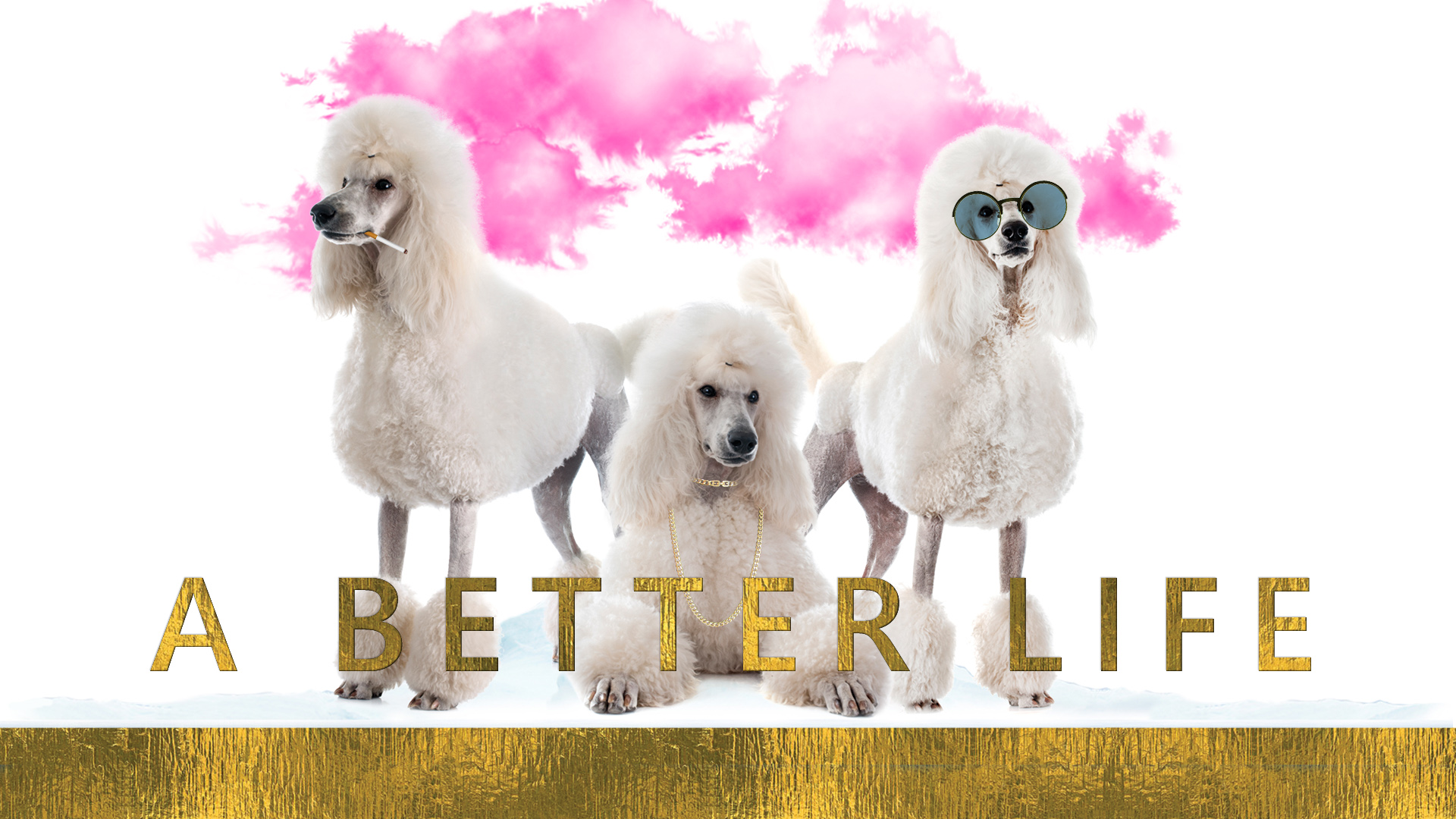 A Better Life – българо-немска копродукция със световна премиера в София