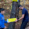 Българският планинарски съюз набира доброволци за маркировка на нов туристически маршрут в района на хижа „Паскал“ над град