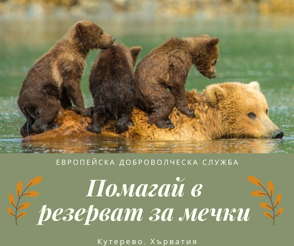 Стани доброволец в резерват за мечки (проект по ЕДС)