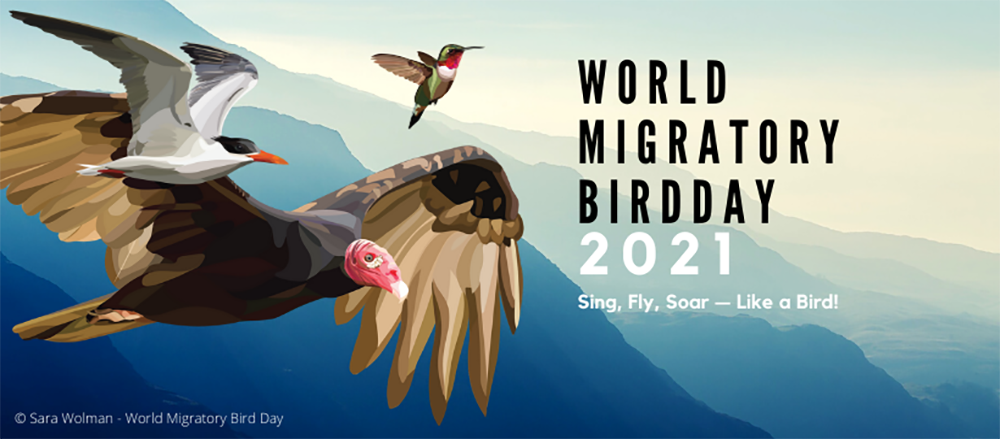 В събота отбелязваме Световния ден на мигриращите птици