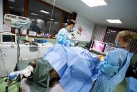 Немски екип медици извърши първата лапароскопска операция на мечка в ПАРК ЗА МЕЧКИ Белица