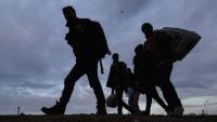 „Насилствените отблъскавания на търсещи закрила от границите като крайна форма на небалансирана миграционна политика“