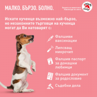 Доклад на ЧЕТИРИ ЛАПИ разкрива шокиращи резултати за незаконната търговия с кученца в Европа
