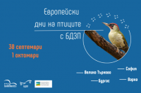 БДЗП отбелязва Европейските дни на птиците със събития в страната на 30 септември и 1 октомври