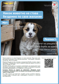 ЧЕТИРИ ЛАПИ и НКЖИ обединяват усилия в подкрепа на безстопанствените животни в България