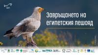 Започва международен проект за възстановяване на световно застрашения египетски лешояд на Балканите